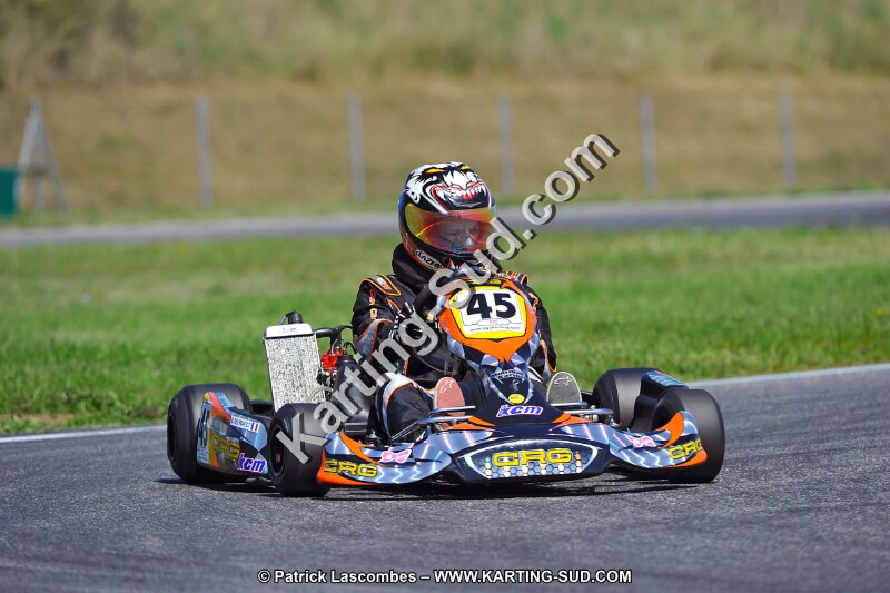 DSC_ (1417).jpg
